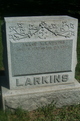  Allie A. Larkins