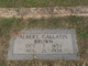  Albert Gallatin Brown