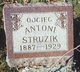  Antoni Struzik