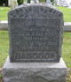  Bradford S Babcock