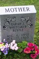  Sarah Jane <I>Barnes</I> Whiteaker Bustle