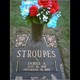  James Arthur Stroupes Sr.