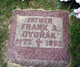 Frank Alois Dvorak Jr.