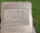  Rosa <I>Spring</I> Barfuss