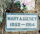  Mary Ann Giesey