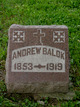  Andrew Balok
