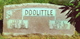  Roy L. Doolittle