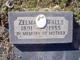  Zelma Elzeta <I>Fields</I> Walls