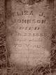  Eliza J. Johnson