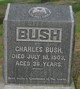  Charles Bush