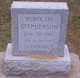  Homer Lee Stephenson