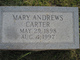  Mary Susan <I>Andrews</I> Carter