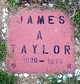  James A Taylor Sr.