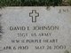 Sgt David L Johnson