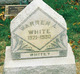  Warren A. White