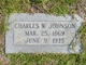  Charles W. Johnson