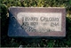  Harry Gregory