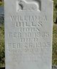  William Andrew Bills