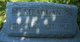  William Henry Steadman
