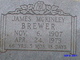  James McKinley Brewer