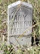 Mary Catherine Farris