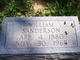 William Sanderson