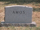  Mary Ellen <I>Casteel</I> Amos