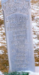  Lucy Ann <I>Wood</I> Eyre