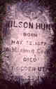  Wilson Hunt