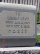  Simon Levy