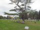 Camptown Cemetery