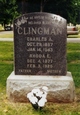  Charles Albright Clingman