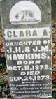  Clara A Hawkins