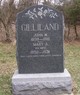  John W. Gilliland