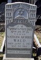  Nathan Morris Wald