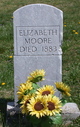  Elizabeth Moore