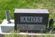  Lester Amos