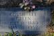  Gussie Lee Green