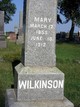  Mary <I>Whitaker</I> Wilkinson