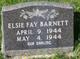  Elsie Fay Barnett