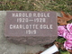  Charlotte Ogle