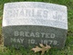  Charles Breasted Jr.