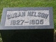  Susan <I>Hanes</I> Nelson