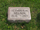  Seymour M. Nelson
