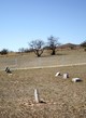 Texas Canyon Pioneer Cemetery