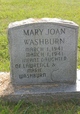  Mary Joan Washburn