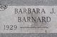 Barbara J Barnard Photo