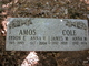  Anna Victoria <I>Cole</I> Amos