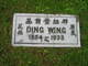  Ding Wing