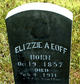 Elizabeth A “Elizzie” Floyd Eoff Photo